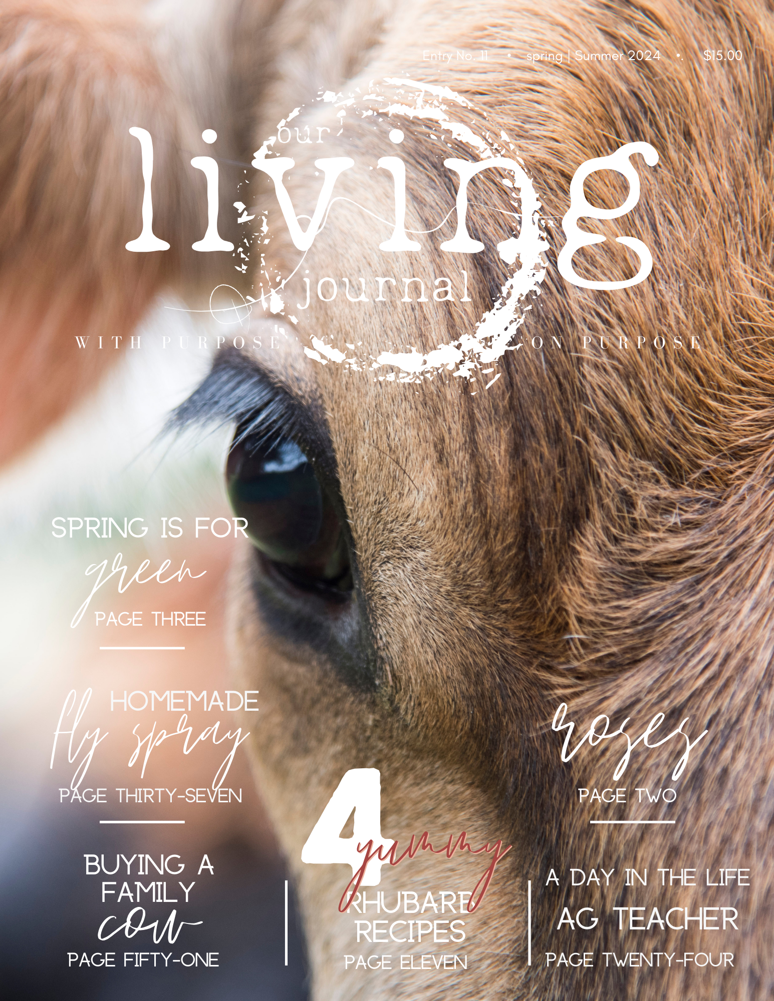 Our Living Journal Entry No. 11 Spring | Summer 2024