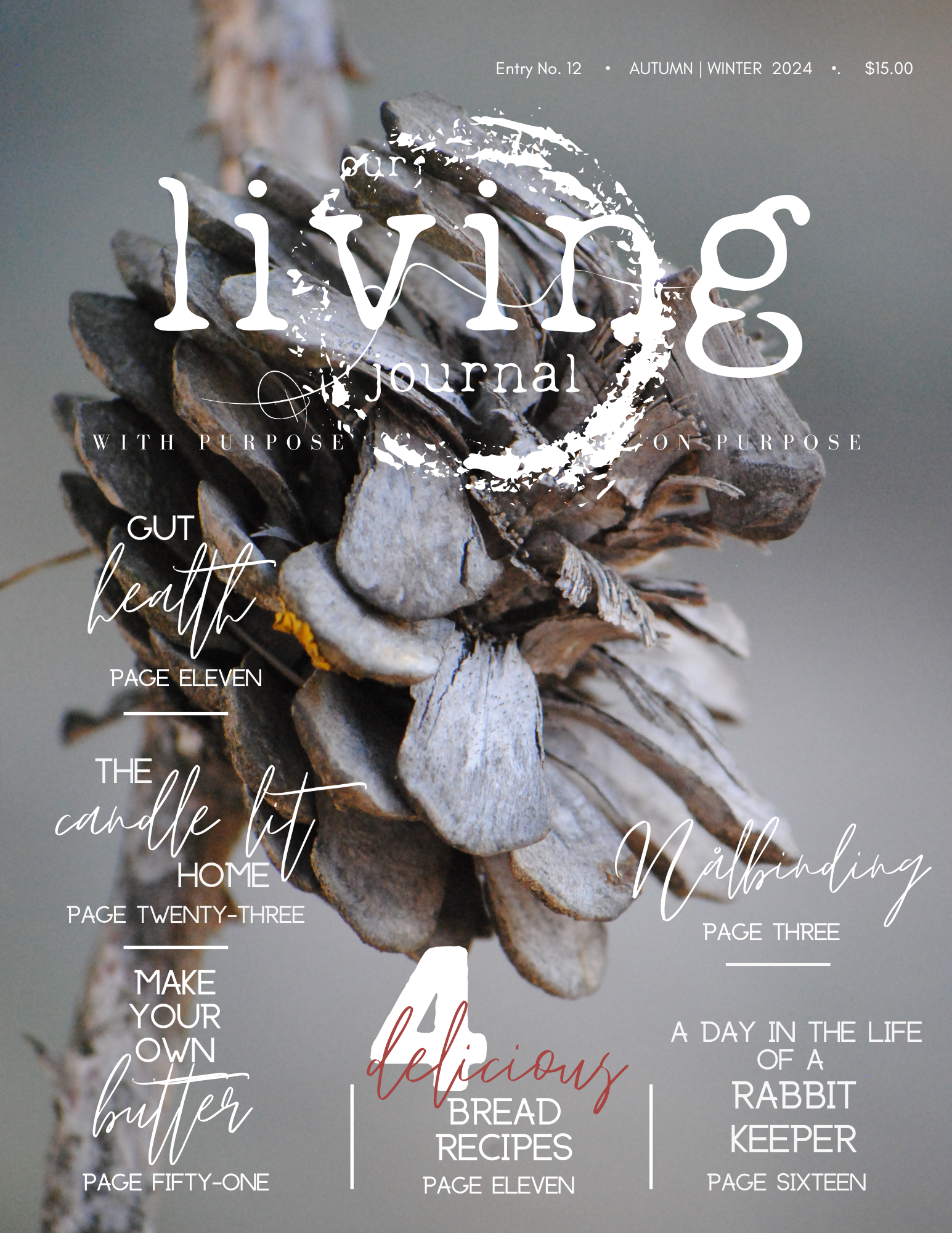 Our Living Journal Entry No. 12  Autumn | Winter 2024